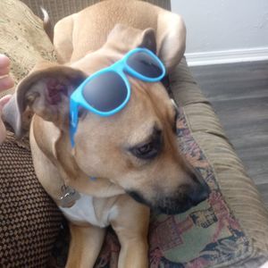 Meet your Posher, Brayden